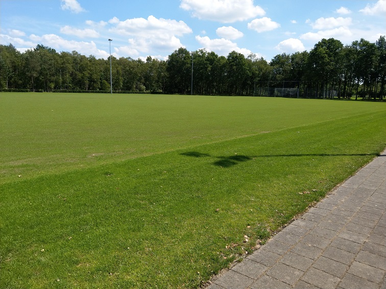 IMAG0428-20190617-133613539_verkleind