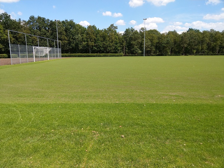 IMAG0429-20190617-133614234_verkleind